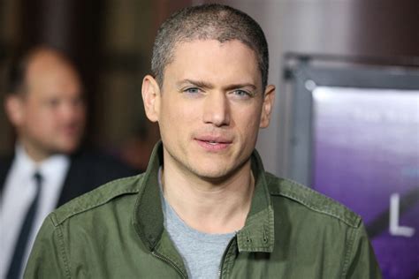 Wentworth Miller Wife: Biography, Career, Age, Height, Weight, Personal ...