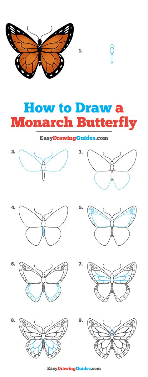 How to Draw a Monarch Butterfly - Really Easy Drawing Tutorial