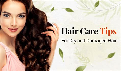 Best Hair Care Tips for Dry and Damaged Hair - Mirah Belle