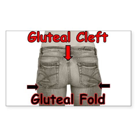 Gluteal Fold/Gluteal Cleft Rectangle Decal by gluteal