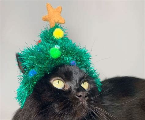 Christmas Tree Cat Hat