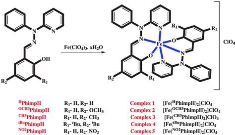 Schematic representation of iron complex synthesis | Download ...