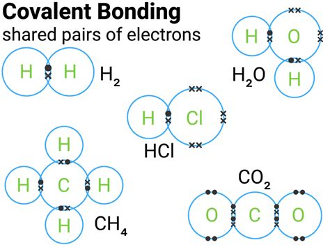 Ethene Covalent Bond Diagram