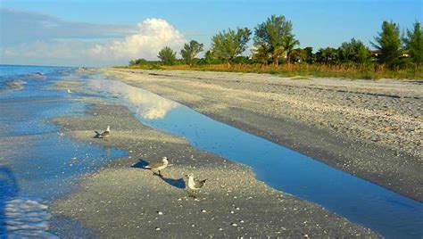 What makes Sanibel special – and nine ways to experience it