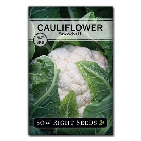 Snowball Cauliflower Seeds for Planting | Cold Tolerant – Sow Right Seeds