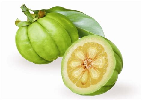 What Is Garcinia Cambogia?