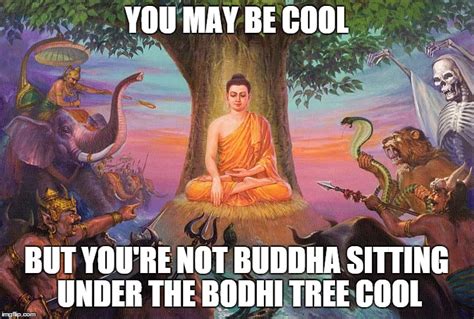 Funny Buddha Meditation