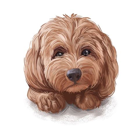 Tan Cockapoo Dog Digital Art Illustration of Cute Canine Animal. Mixed ...