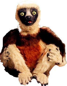 Zoboo - The Zoboomafoo Wiki