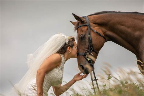 Equine Photography - ER Imaging Photography