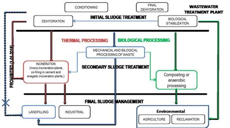 Processes of sewage sludge treatment [author's own research based on ...