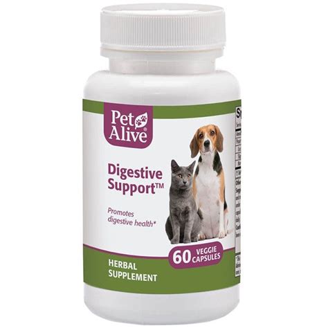 Digestive Support™ - Herbal Supplement for Digestive Problems in Dogs ...