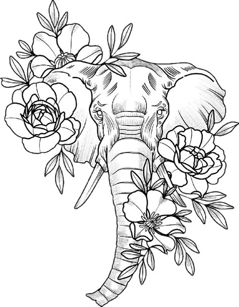 #freetoedit#elephant #flowers #elephantandflowers #elephanttattoo # ...