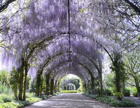 Best Outdoor Wedding Venues + Locations in Melbourne - Meriki Comito ...