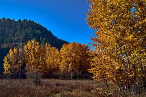 Fall Colors in the Afternoon Sunlight Stock Photo - Image of foothills ...