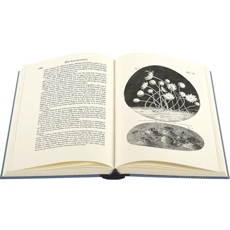 Micrographia | The Folio Society