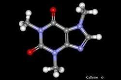 Trimethylamine - 75-50-3 Latest Price, Manufacturers & Suppliers