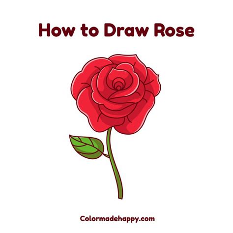 Rose Flower Drawing Step By | Best Flower Site