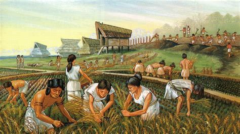 The Effects of Agriculture on People - Blog