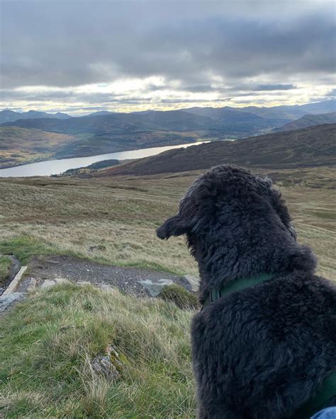 Outdoor Activities & Sights Around Loch Tay/Ben Lawers