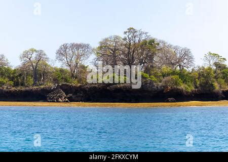 Wasini island Kisite Marine Park Kenya Africa Stock Photo - Alamy