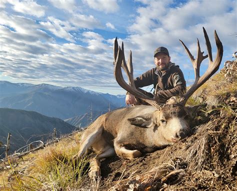 Guided Idaho Rifle Hunting | Guaranteed Tags for Elk, Deer, Bears ...