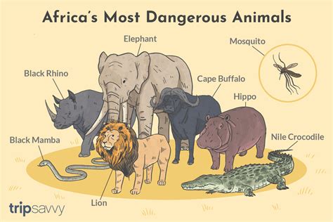 What Are The Most Common Animals In Africa