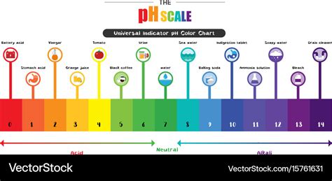 Ph scale universal indicator color chart Vector Image