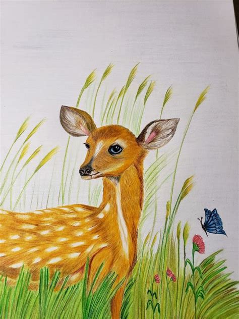 deer - nature - Drawings & Illustration, Animals, Birds, & Fish, Moose ...