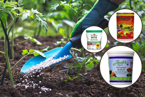 15 Best All-Purpose Plant Fertilizers [Liquid, Powder and Granular]