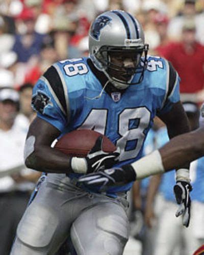 Stephen Davis | Panthers football, Professional football teams ...