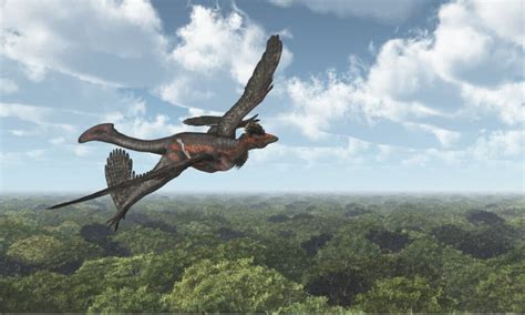 Microraptor Animal Facts | Microraptor - Wiki Point