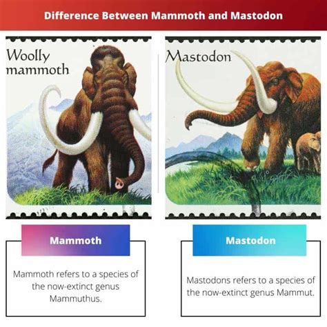 Mammoth vs Mastodon: Difference and Comparison