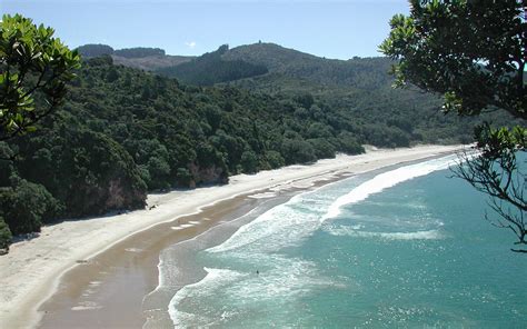 The 10 Best Beaches in Coromandel Peninsula // World Beach Guide