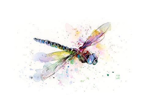 DRAGONFLY Watercolor Print Dragonfly Painting Insect Art - Etsy Australia