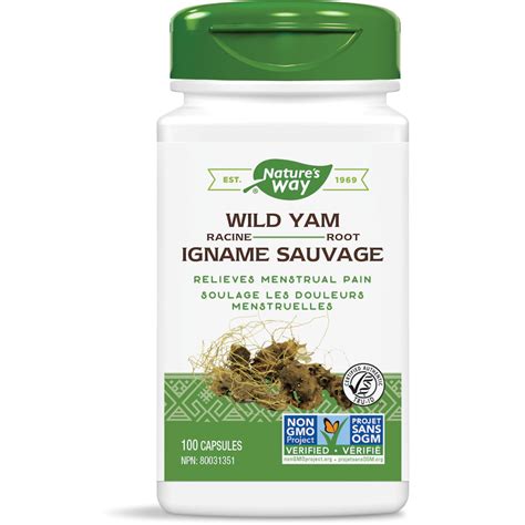 Wild Yam Root / 100 capsules – Nature's Way Canada