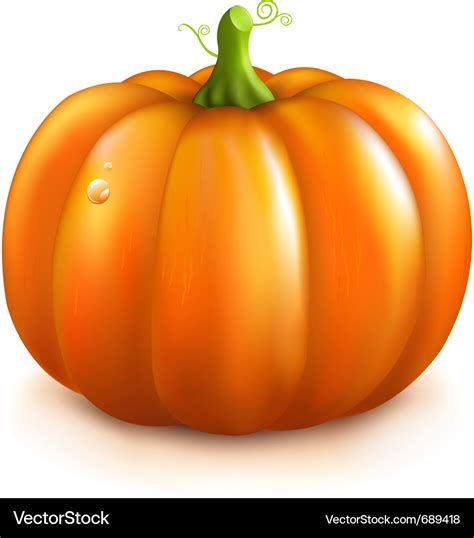 Orange pumpkin Royalty Free Vector Image - VectorStock