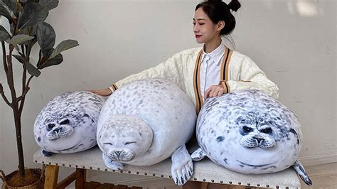 Fat Seal Pillow Review 2020 | chubby seal pillow - YouTube