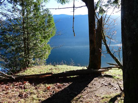 Bike ride to Cultus Lake~12/5/2020~7 by Matthew-Fuller on DeviantArt