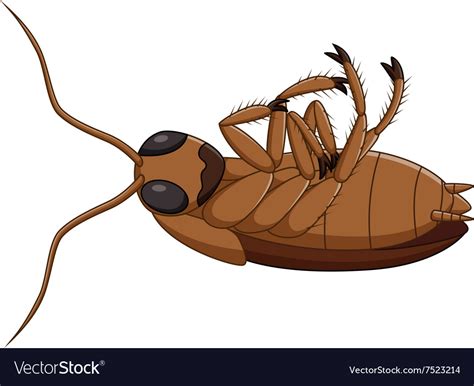 Cartoon dead cockroach Royalty Free Vector Image