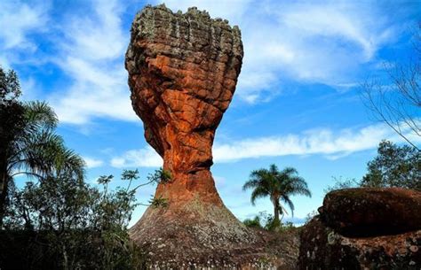 O que fazer em Ponta Grossa? Conheça as opções de turismo na cidade ...