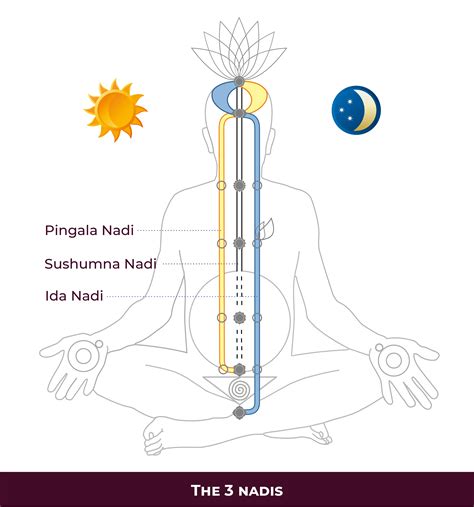 Balancing Energy: Exploring the Ida, Pingala, and Sushumna Channels ...