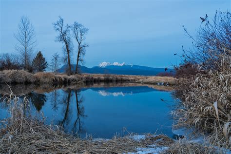 Alouette River | Late afternoon walk along the Trans Canada … | Flickr