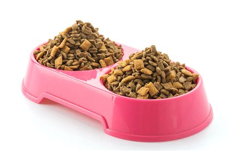 Nestlé launches pet food with insect proteins - All About Feed