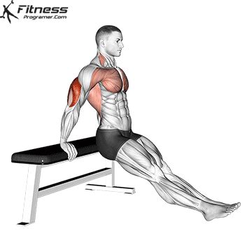 How To: Bench Dips On Floor | Muscles Worked And Benefits