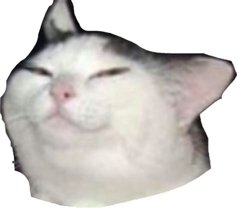 Cat Meme Png Picture Cat Meme Face Png Emoji Free Transparent Emoji ...