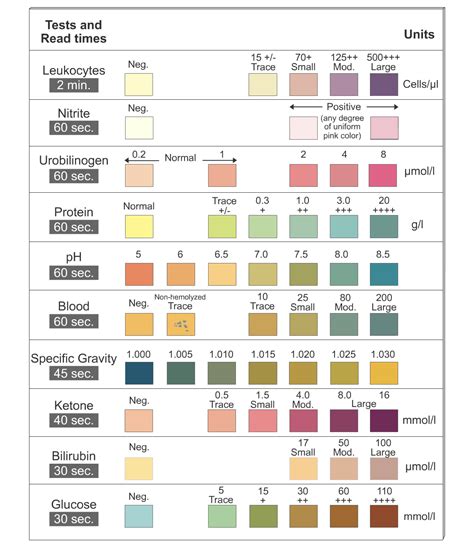 Urinalysis Test Strip Color Chart