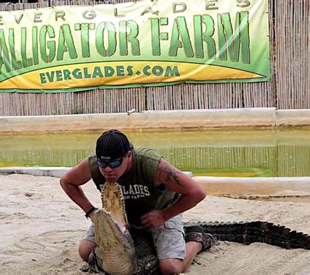 :: Everglades Alligator Farm :: | Everglades, Airboat rides, National parks