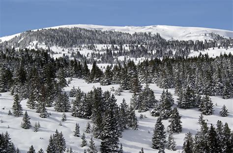 Vail Pass Colorado Winter Photograph by Brendan Reals - Fine Art America