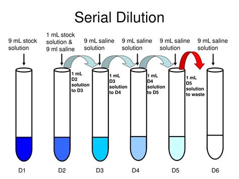 PPT - Serial Dilution PowerPoint Presentation, free download - ID:3119682